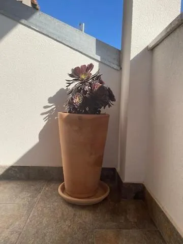 Appartement Flavia *